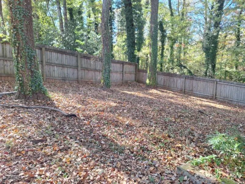 Clean cleared yard after brush removal by Olmedo Home Services in Davie County