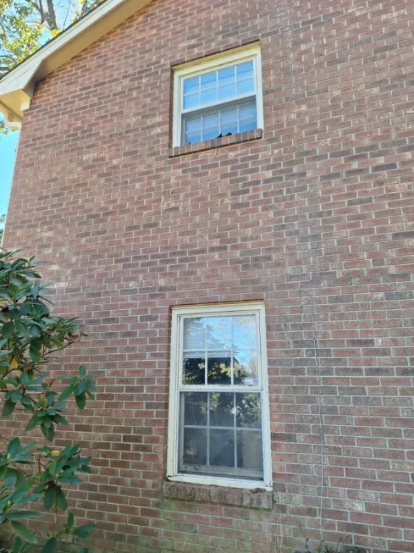 Brick wall restored after ivy removal by Olmedo Home Services in Davie County NC