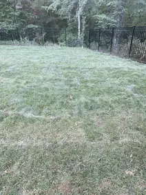 Professional sod installation completed - beautiful instant lawn transformation Mocksville NC