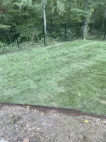 Completed sod installation project showing lush green lawn - Olmedo Home Services Mocksville NC