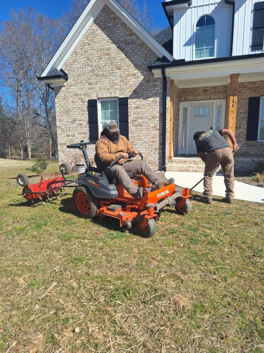 Lush green lawn after seeding